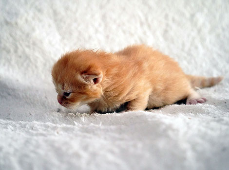 Ole am 8. März 2025